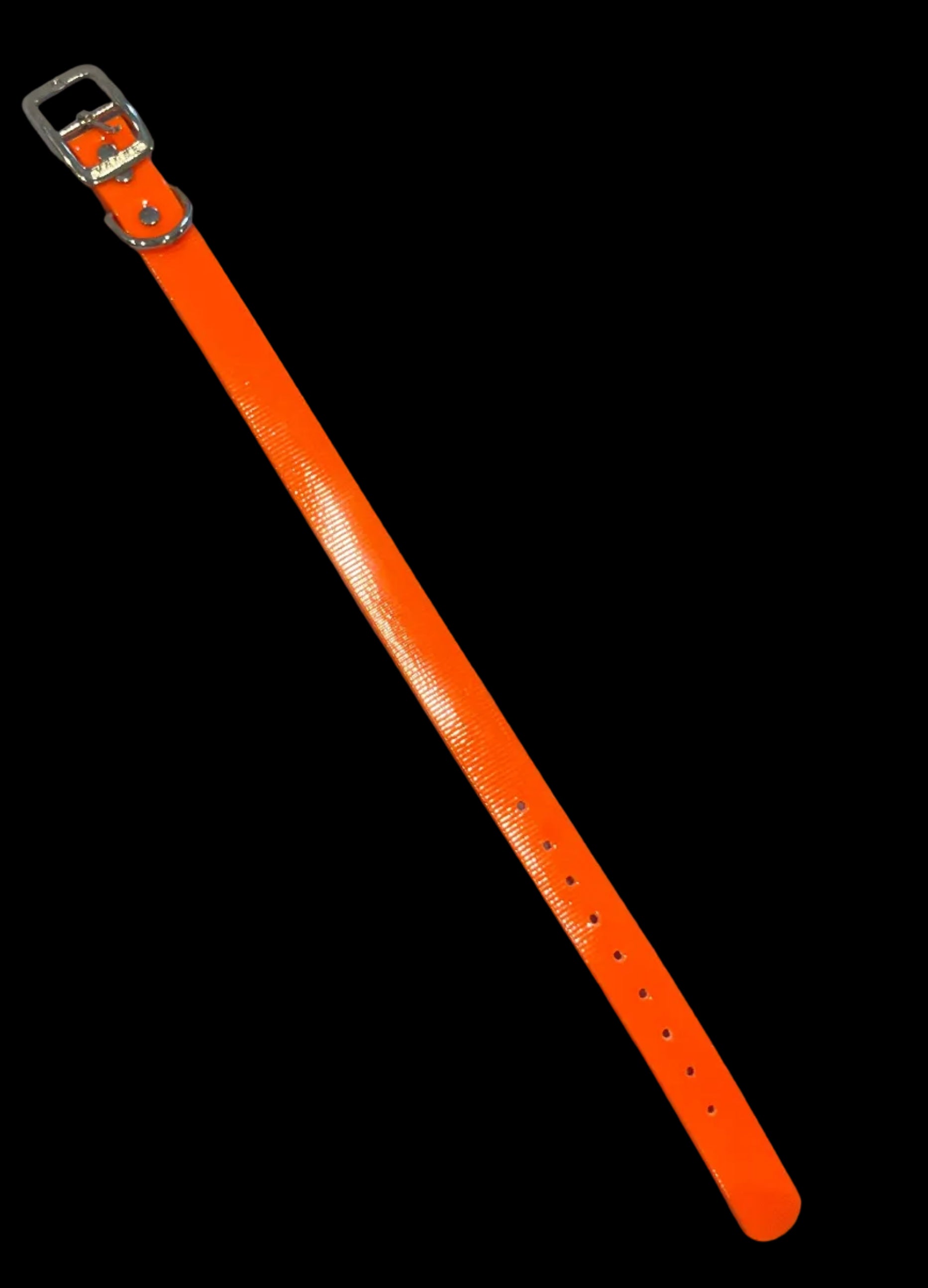 1” Dayglo collar
