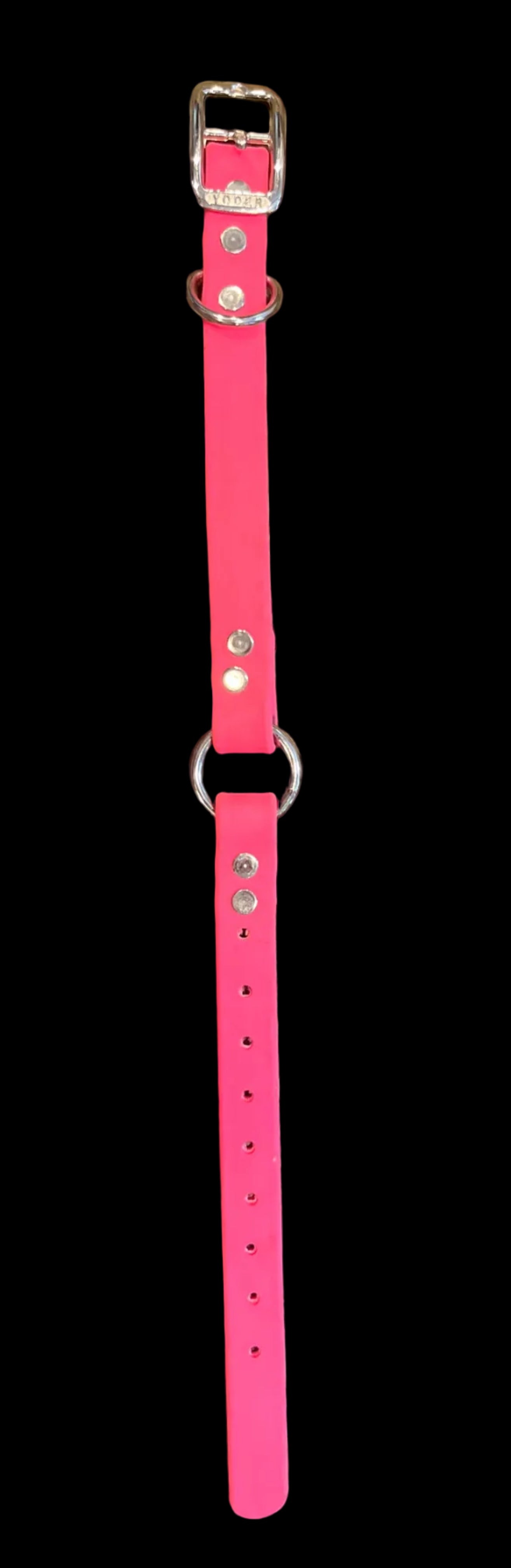 Biothane 14” in length