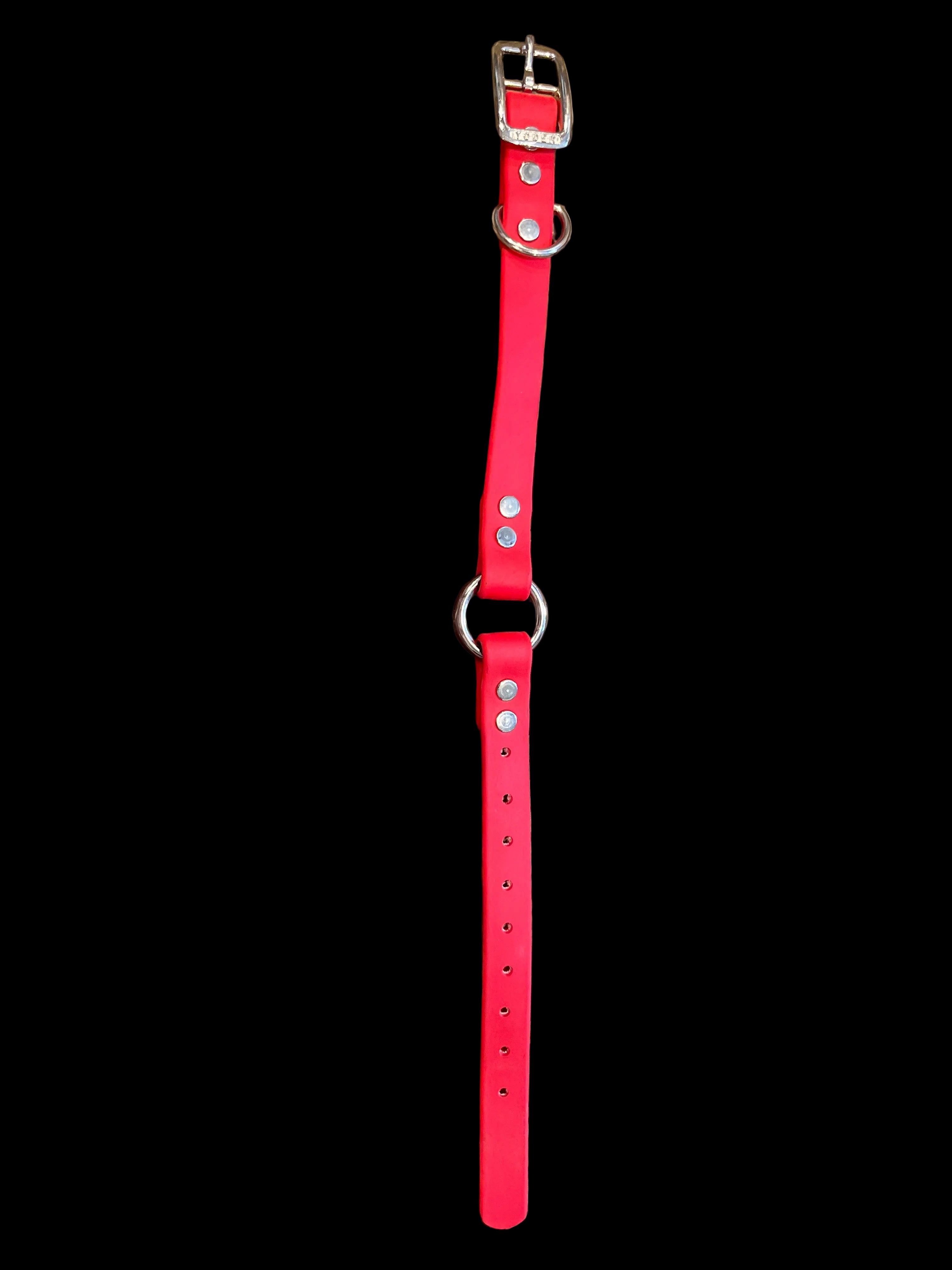 Biothane 14” in length