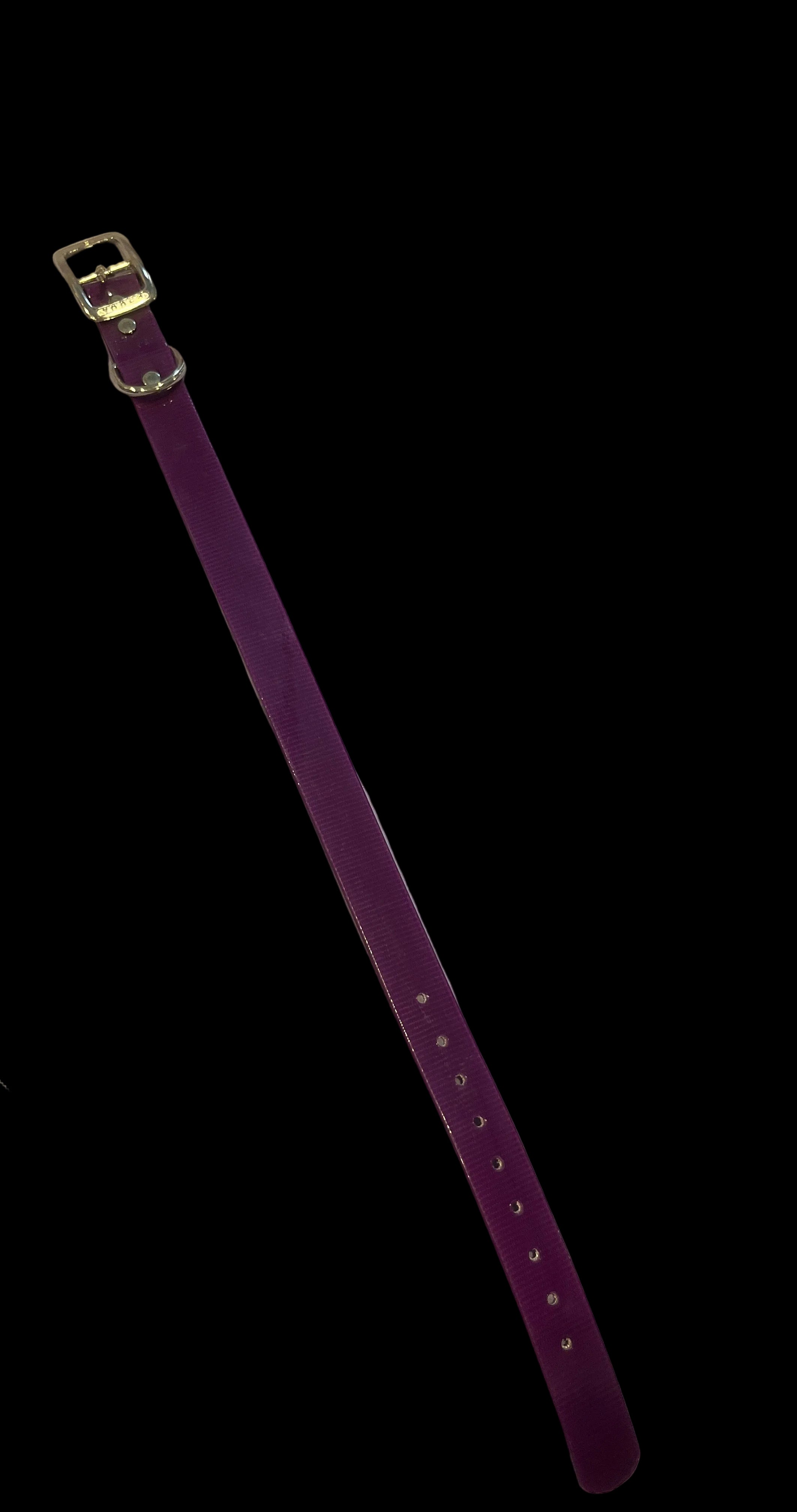 1” Dayglo collar