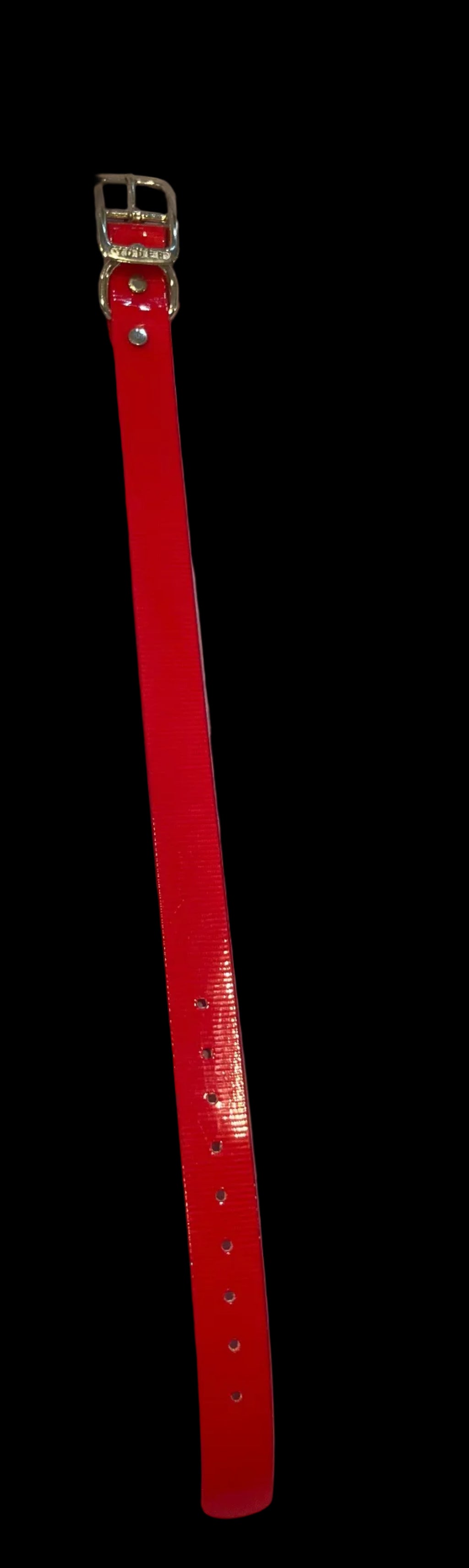 1” Dayglo collar