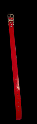 1” Dayglo collar