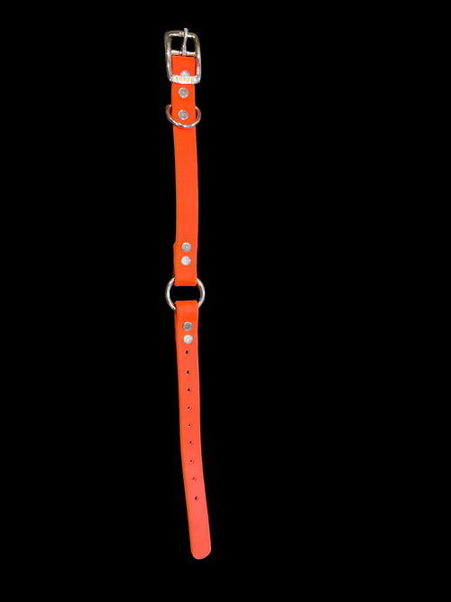 Biothane 14” in length