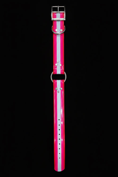 1&1/2” dayglo collar