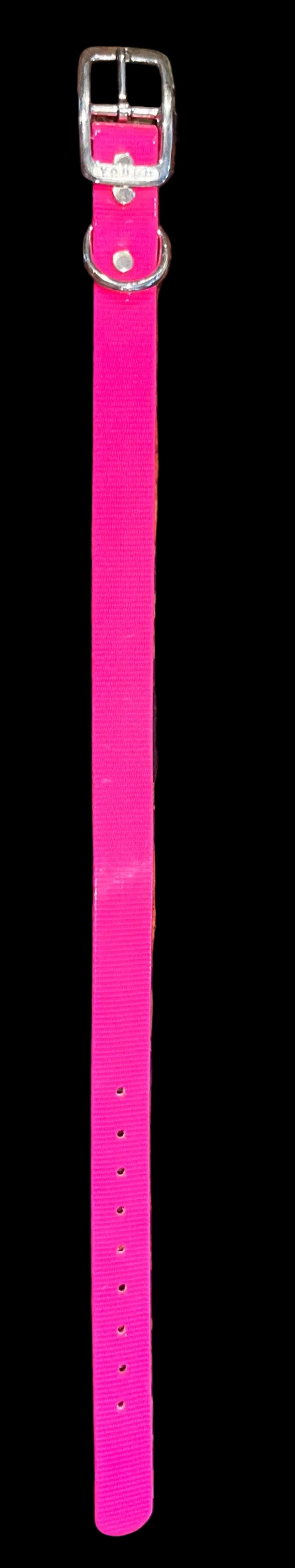 1” Dayglo collar