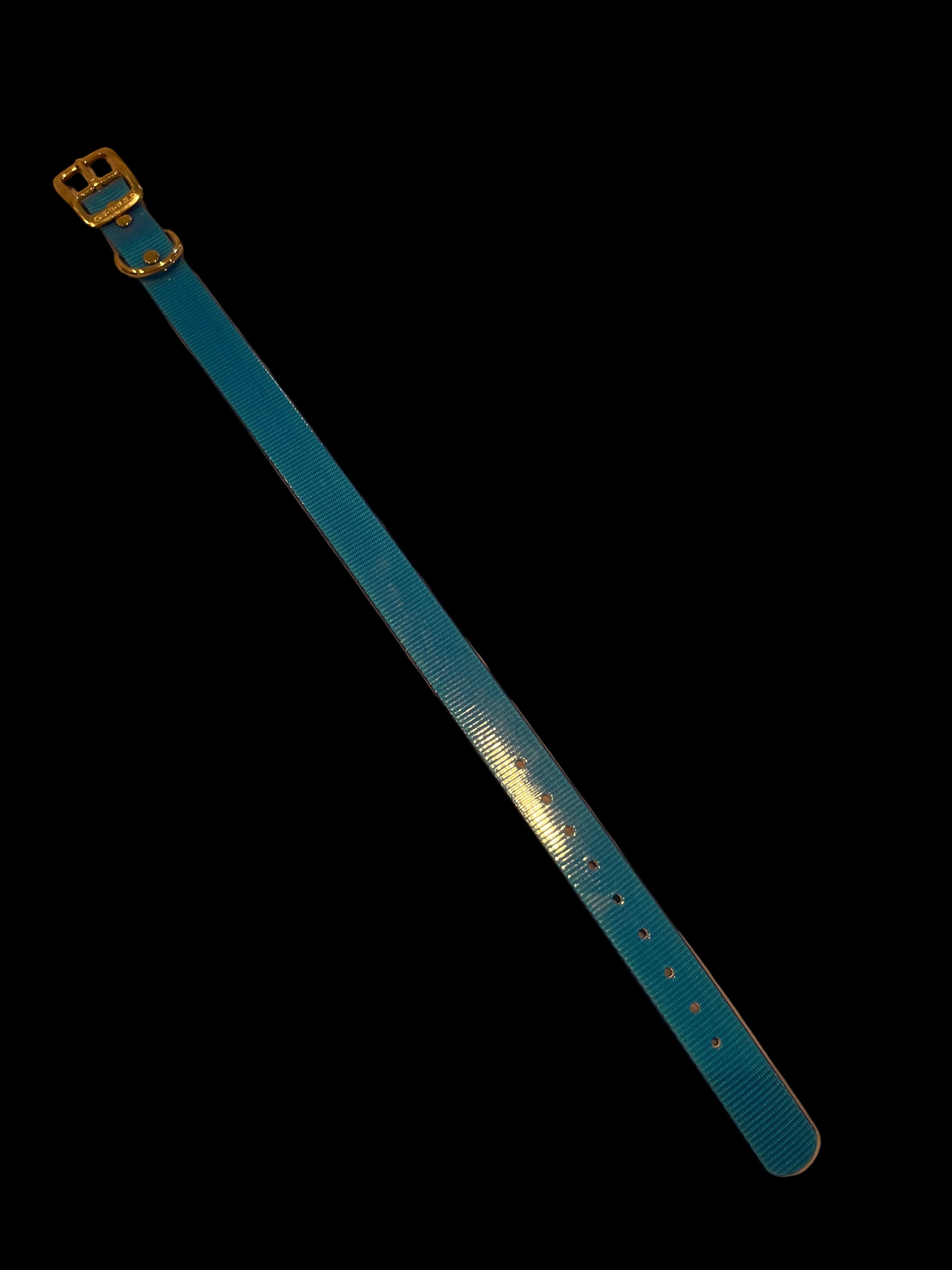 1” Dayglo collar