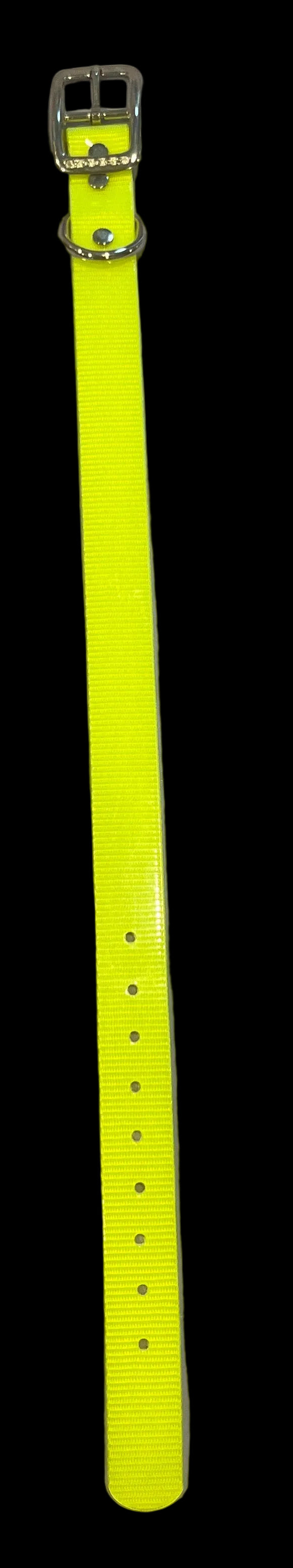 1” Dayglo collar