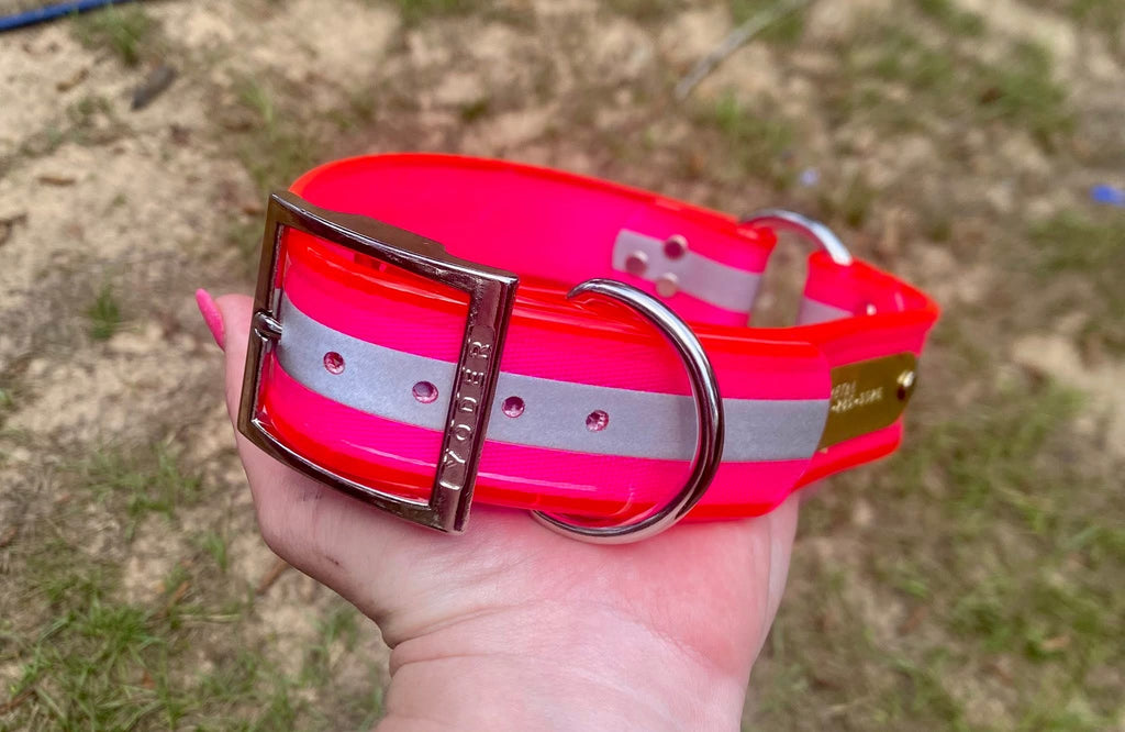 1&1/2” dayglo collar
