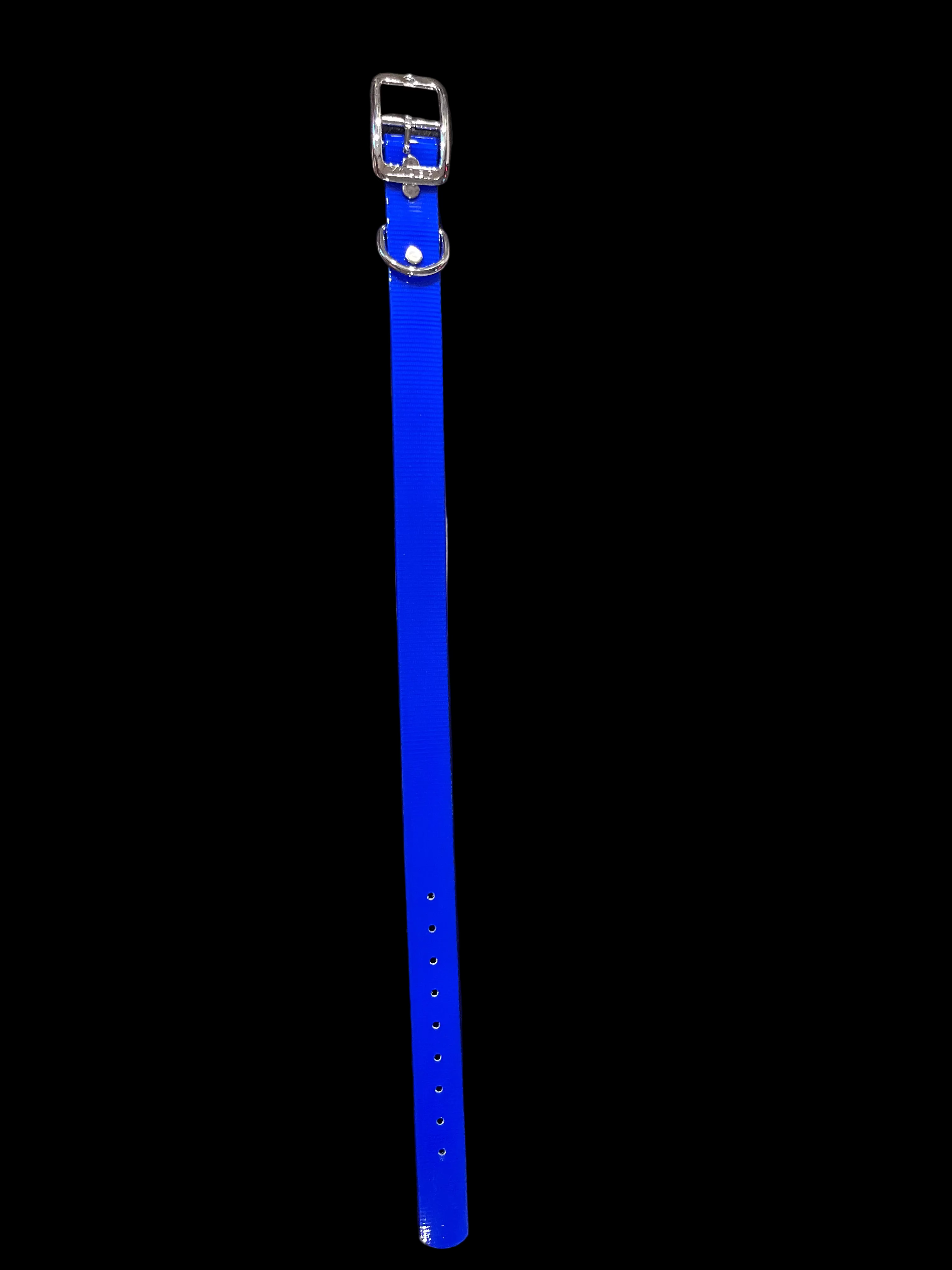 1” Dayglo collar