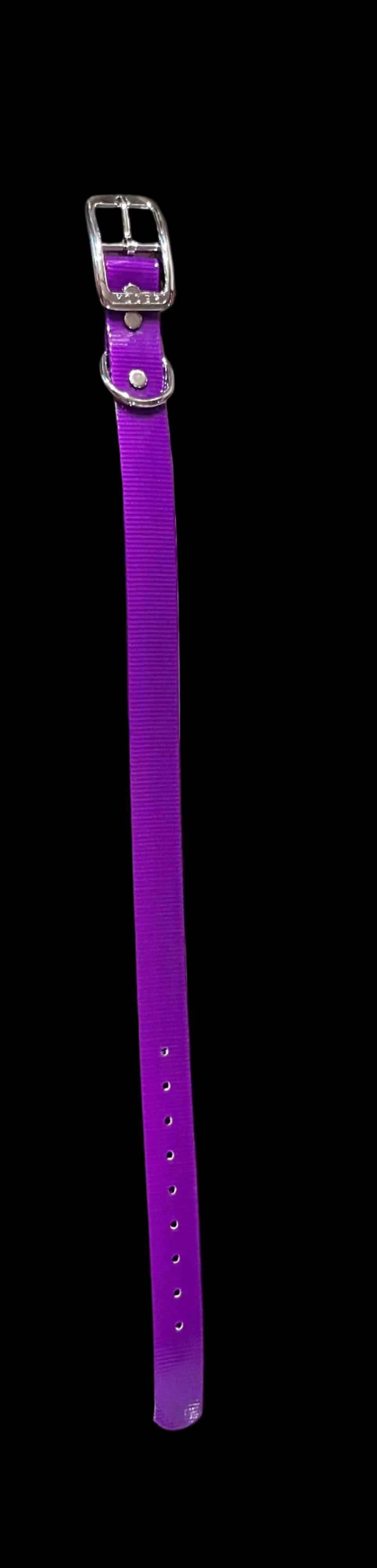 1” Dayglo collar