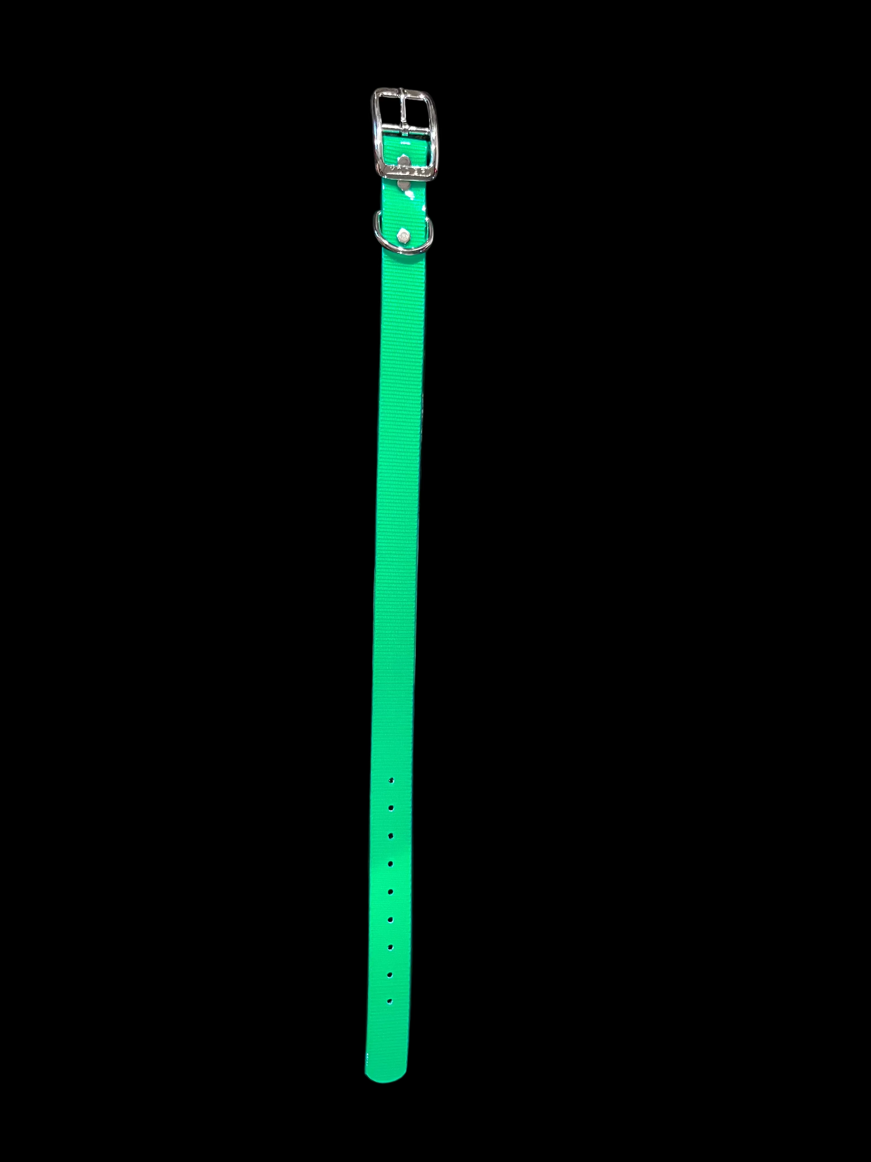 1” Dayglo collar