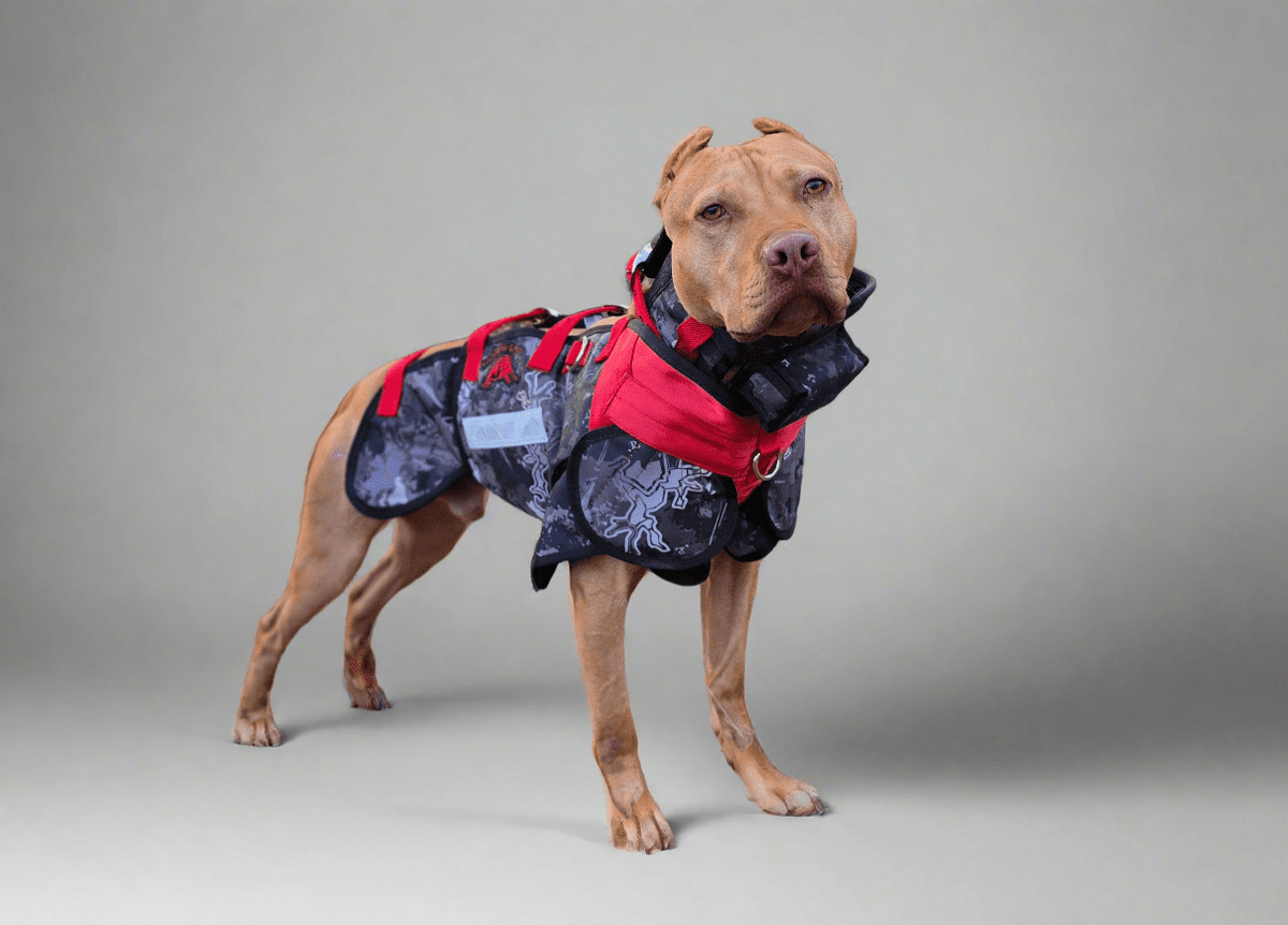Elite Catch Vest PRO- Attached Collar Extreme Protection