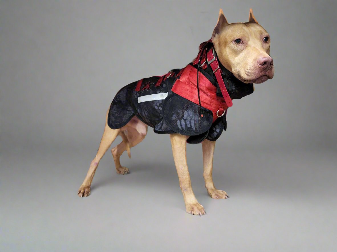 Elite Catch Vest PRO- Attached Collar Extreme Protection