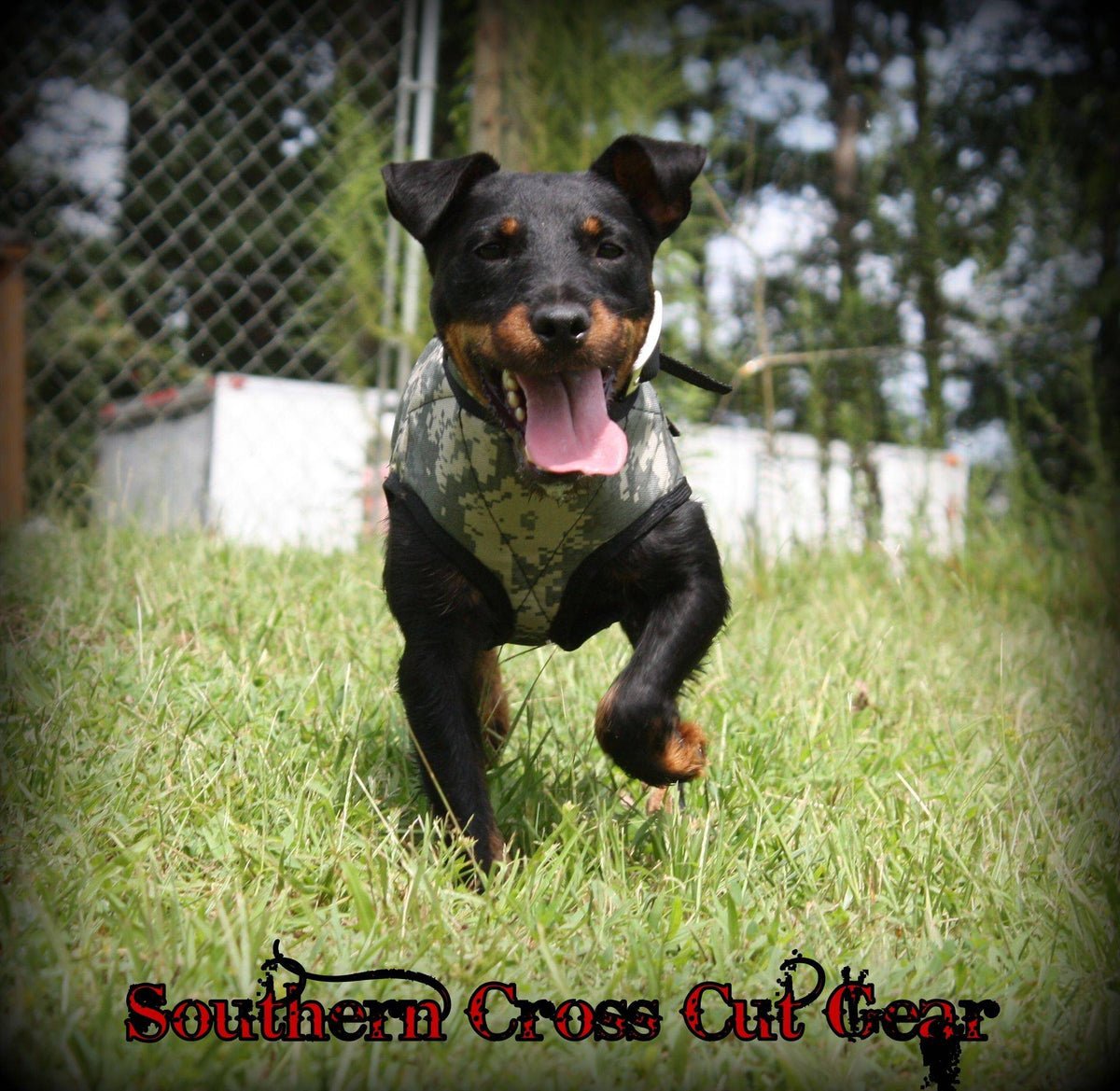 SC Terrier Vest Gen 2.0